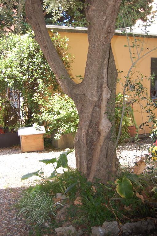 Arena Alfieri B&B Livorno Kültér fotó